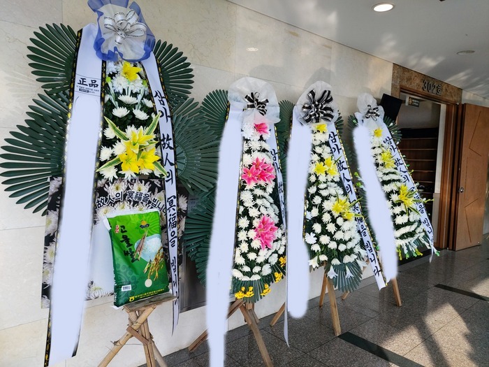 ������ȭȯ 10kg