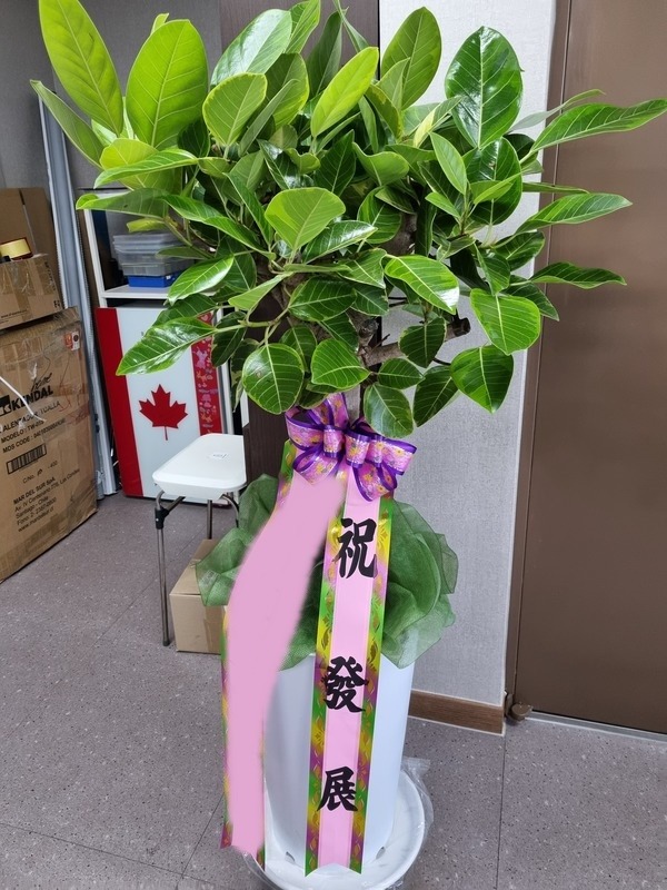 ����ȭ�� �𰥰�������