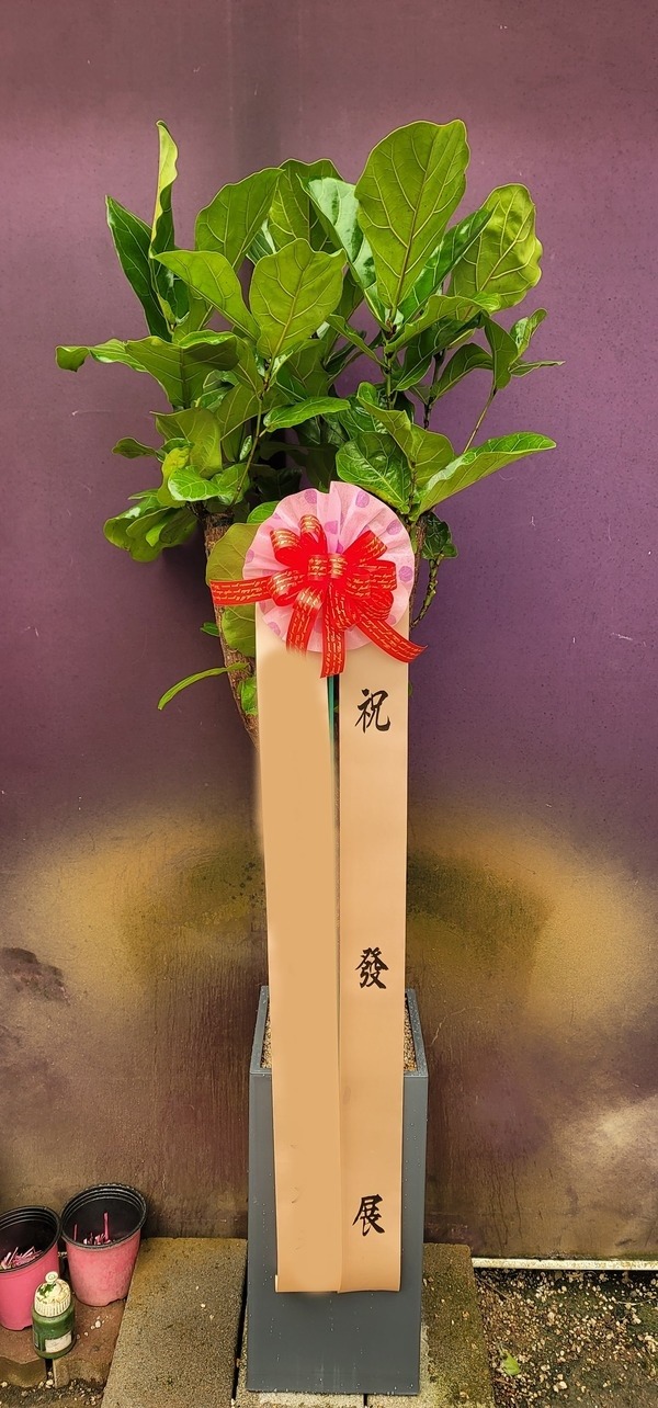 ����ȭ�� ������������