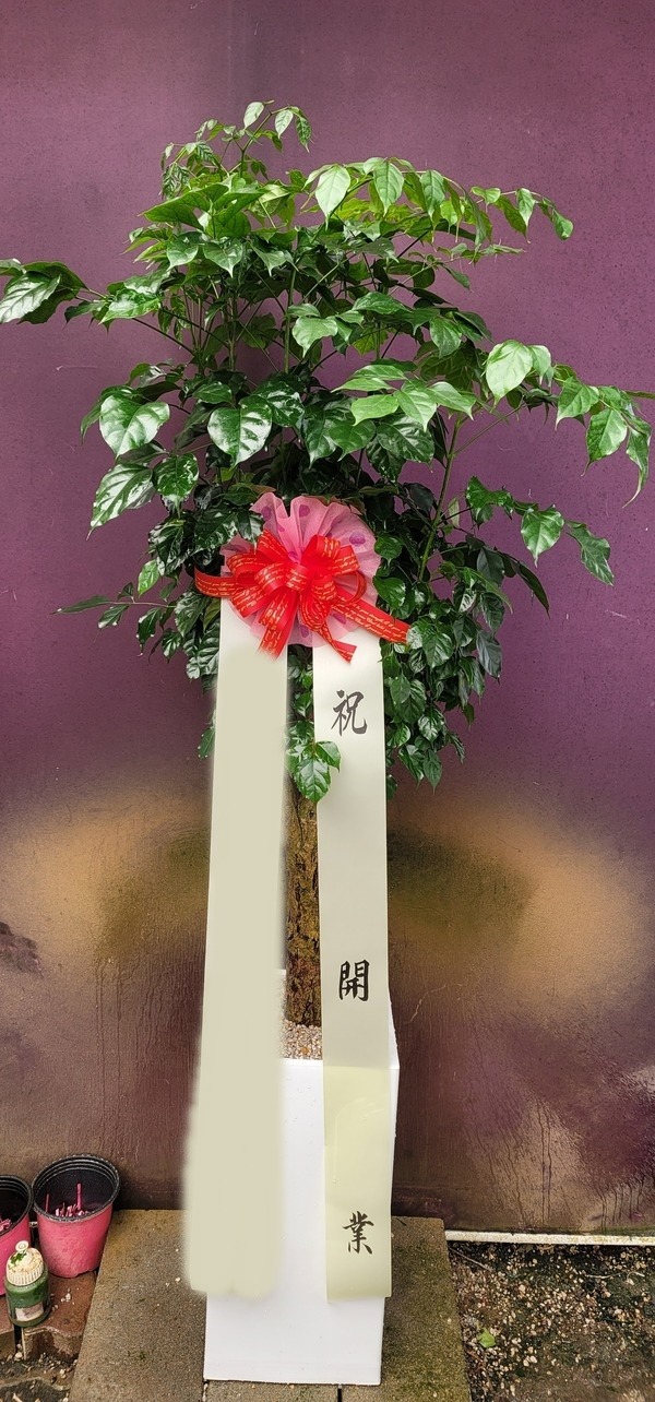 ����ȭ�� �캸��