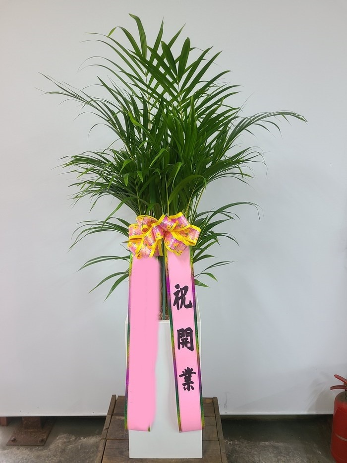 ����ȭ�� �Ʒ�ī����