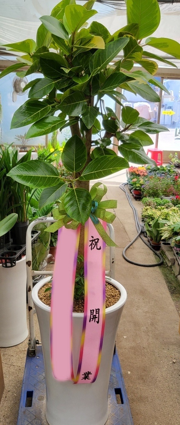 ����ȭ�� �𰥰�������