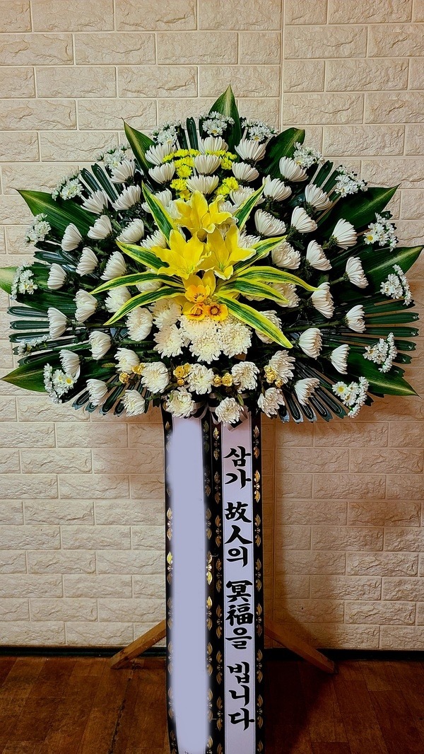 ����������ȭȯ