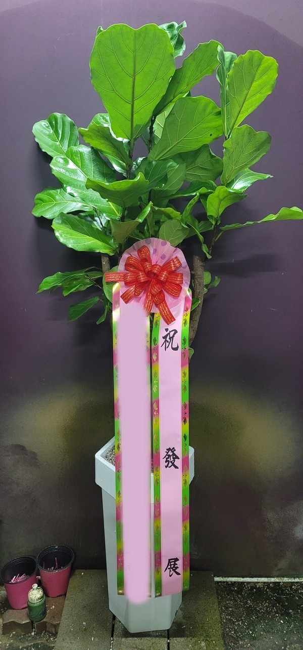 ����ȭ�� ������������