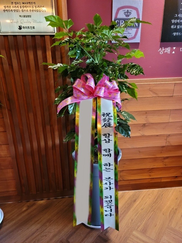 ����ȭ�� �캸��