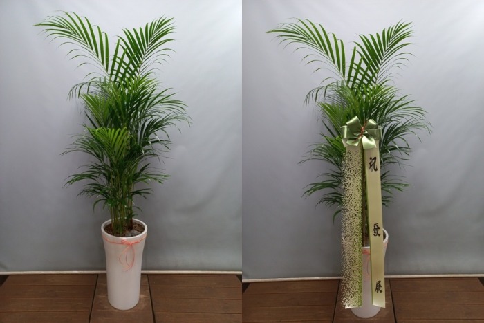 ����ȭ�� �Ʒ�ī����