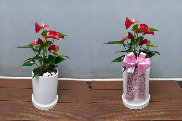 ����ȭ�� Ź��� �Ƚø���