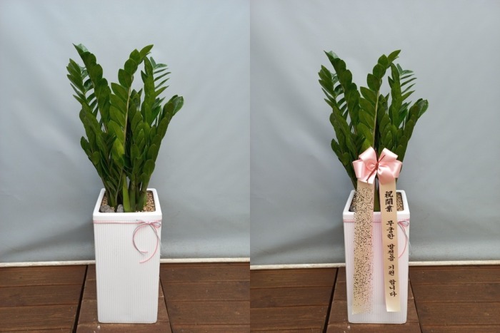 ����ȭ�� ������