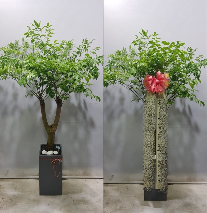 ����ȭ�� ����Ʈ��