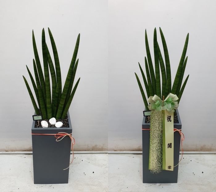 ����ȭ�� ����Ű