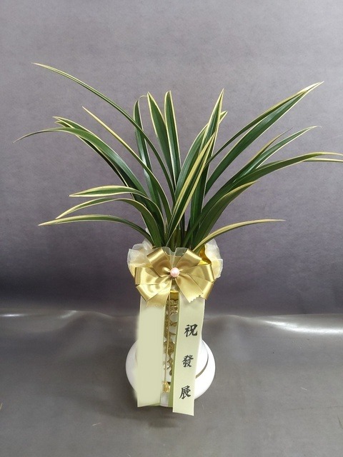 ����� Ȳ������