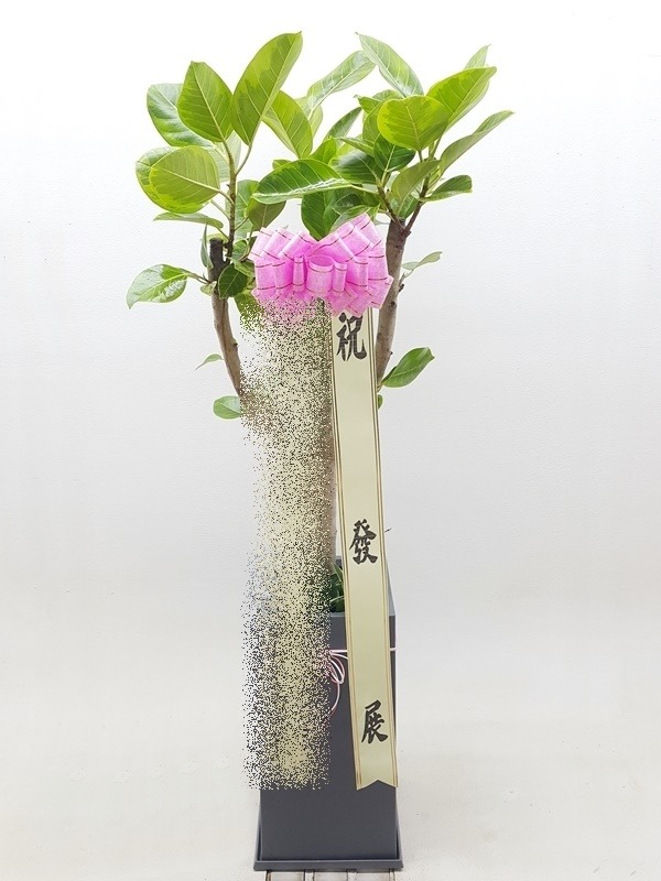 ����ȭ�� �𰥰�������