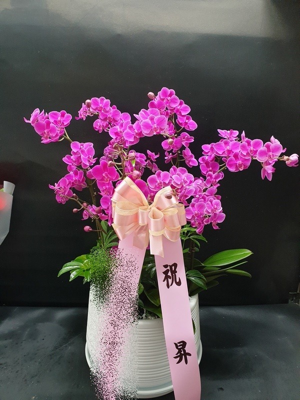 ����� ��õȫ