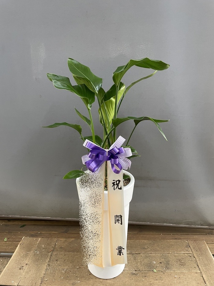 ����ȭ�� �ض���