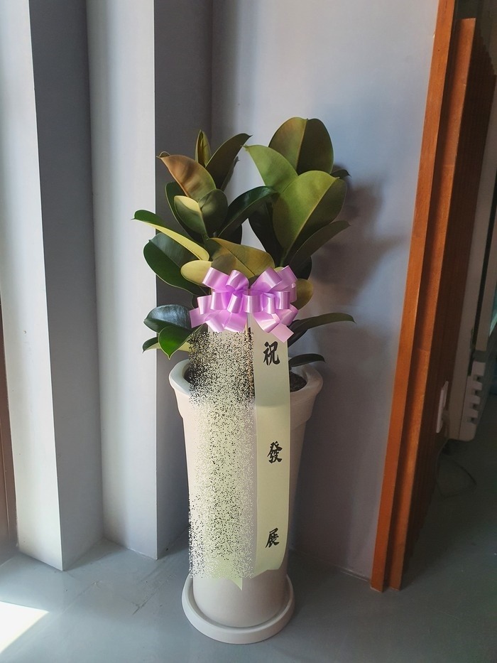 ����ȭ�� ��������