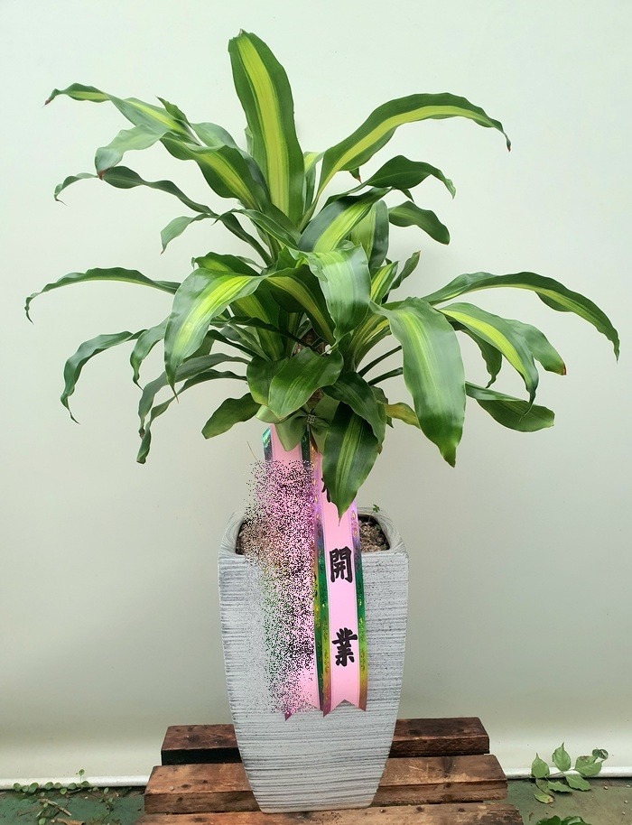 ����ȭ�� ����