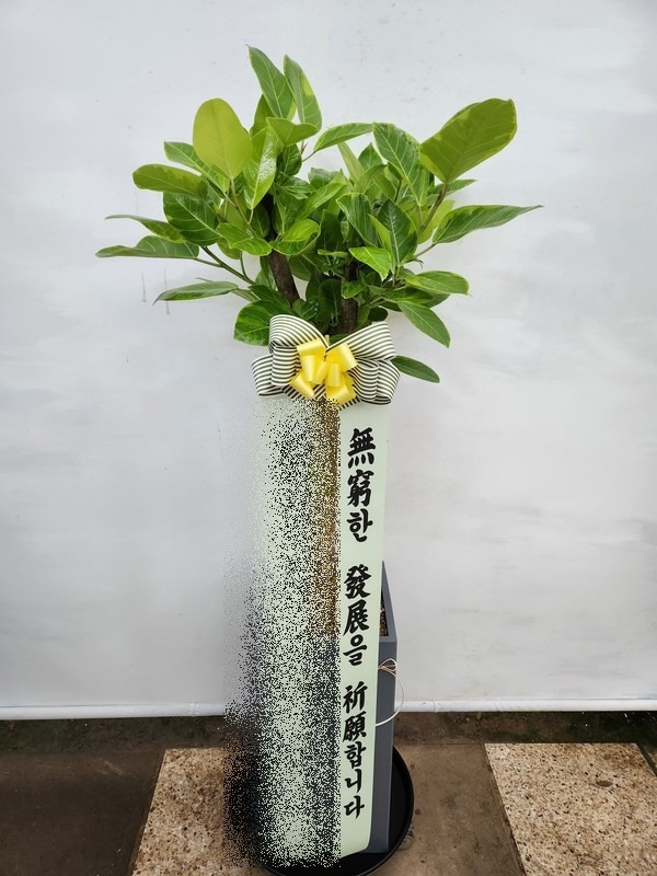 ����ȭ�� �𰥰�������