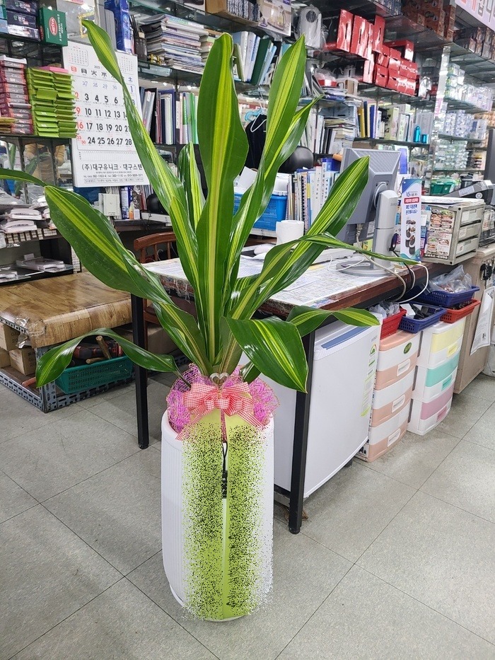 ����ȭ�� ����