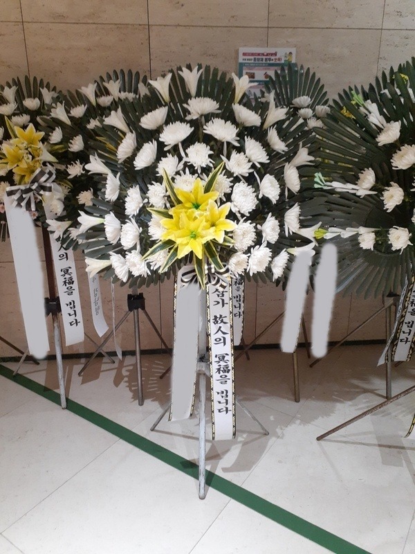 ����������ȭȯ