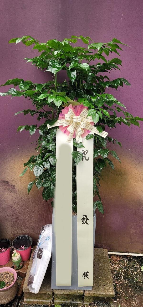 ����ȭ�� �캸��