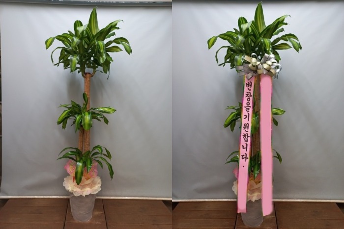 ����ȭ�� ���� ��������