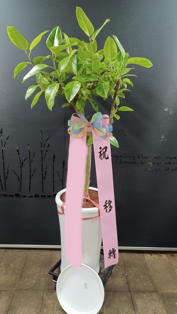 ����ȭ�� �𰥰�������