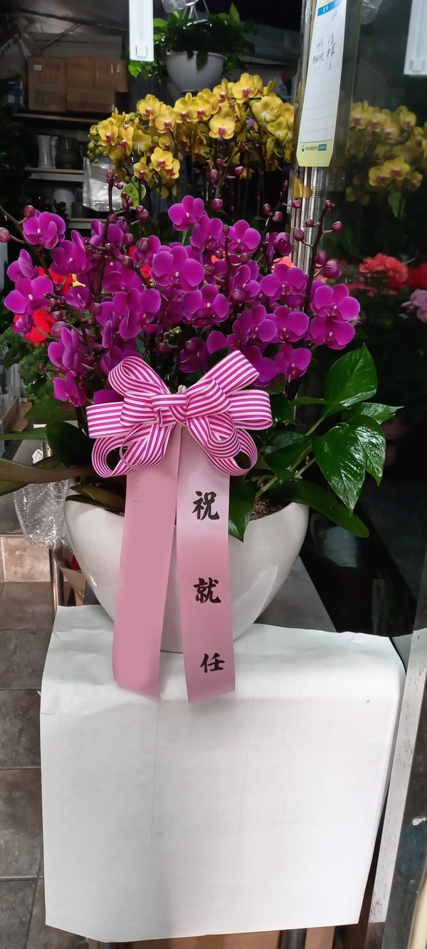 ����� ��õȫ