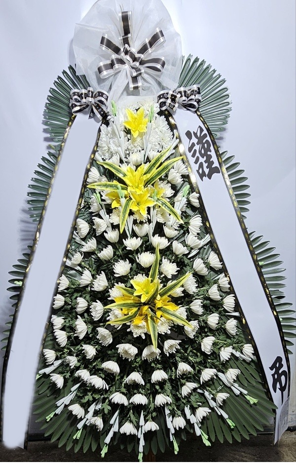 ����3��ȭȯ Ư��