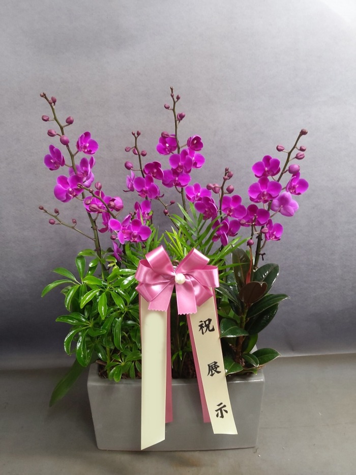 ����� ��õȫ