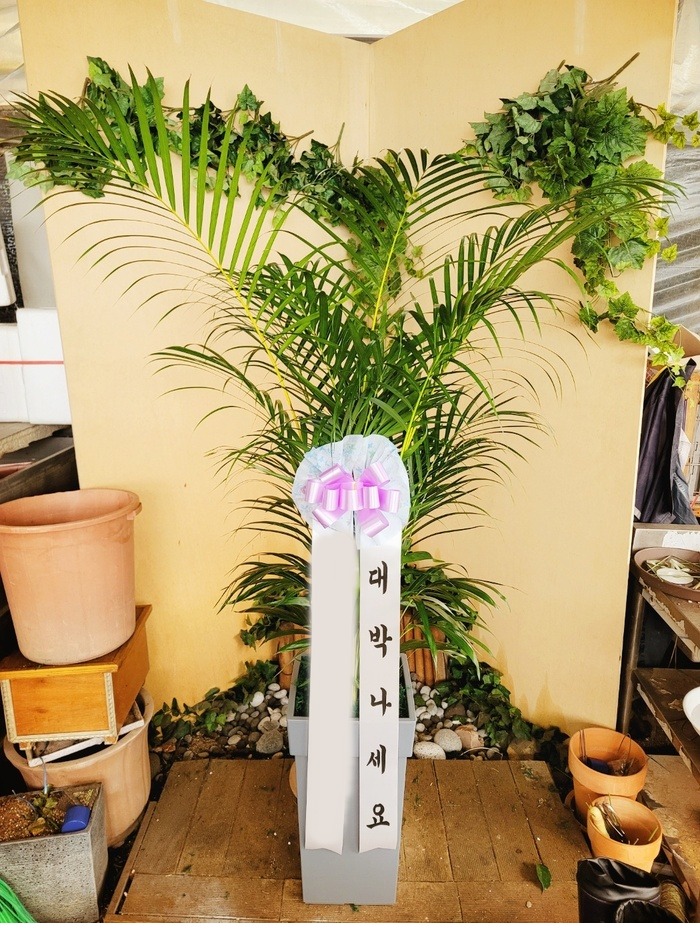 ����ȭ�� �Ʒ�ī����