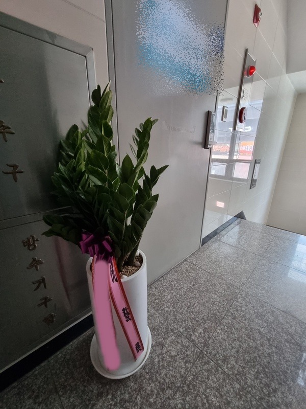 ����ȭ�� ������