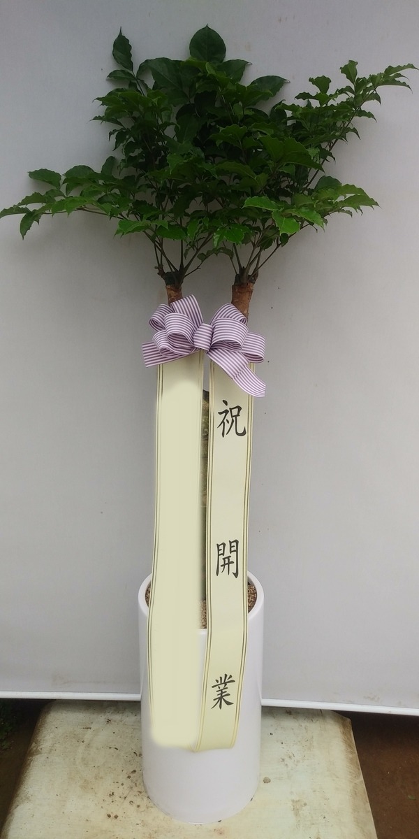 ����ȭ�� ����Ʈ��