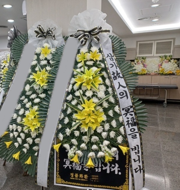 ����3��ȭȯ