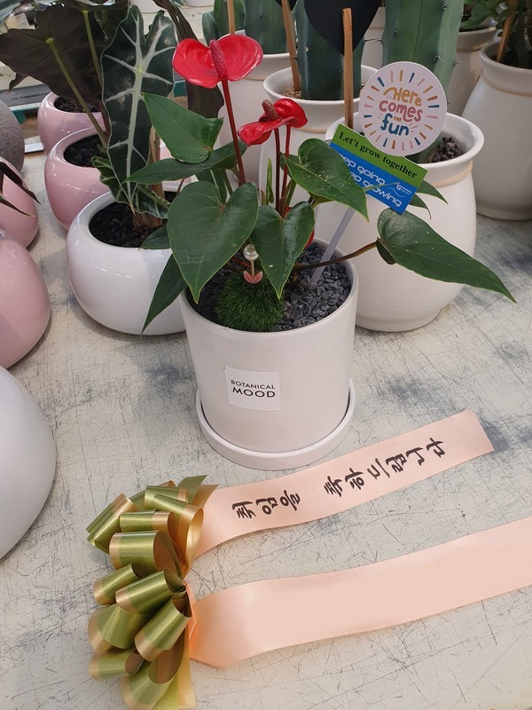 ����ȭ�� �Ƚø��� Ź���