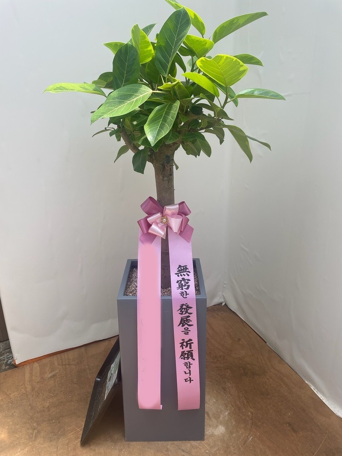 ����ȭ�� �𰥰�������