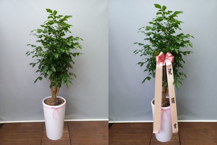 ����ȭ�� �캸��