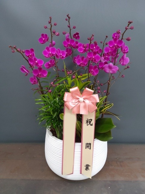 ����� ��õȫ