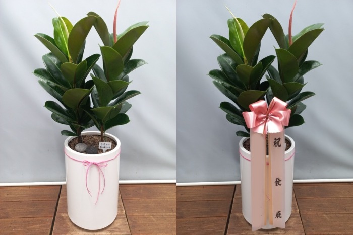 ����ȭ�� ��������