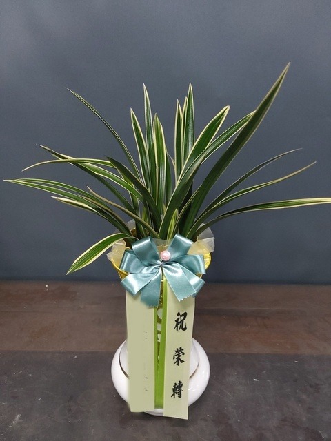 ����� �¾��