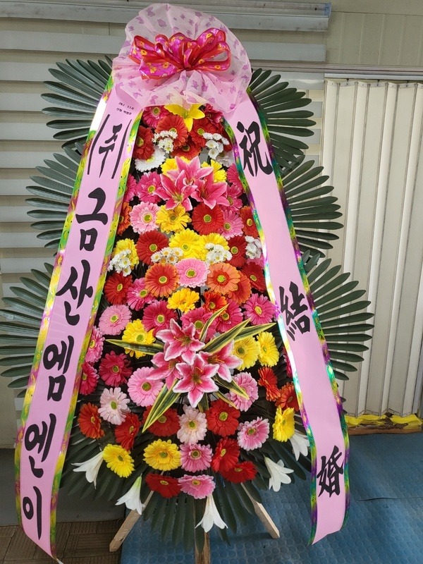 ����3��ȭȯ