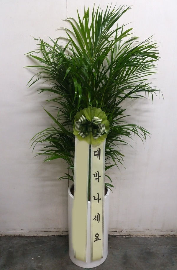 ����ȭ�� �Ʒ�ī����