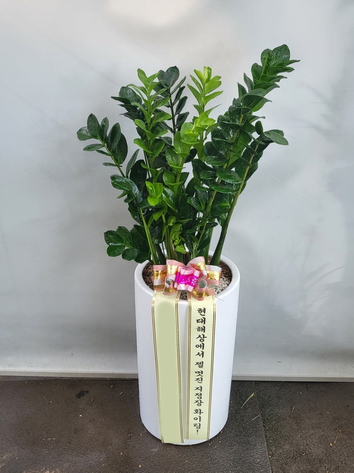 ����ȭ�� ������