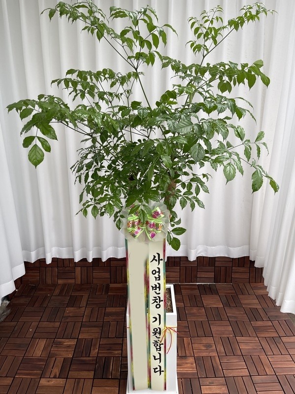 ����ȭ�� ����Ʈ��