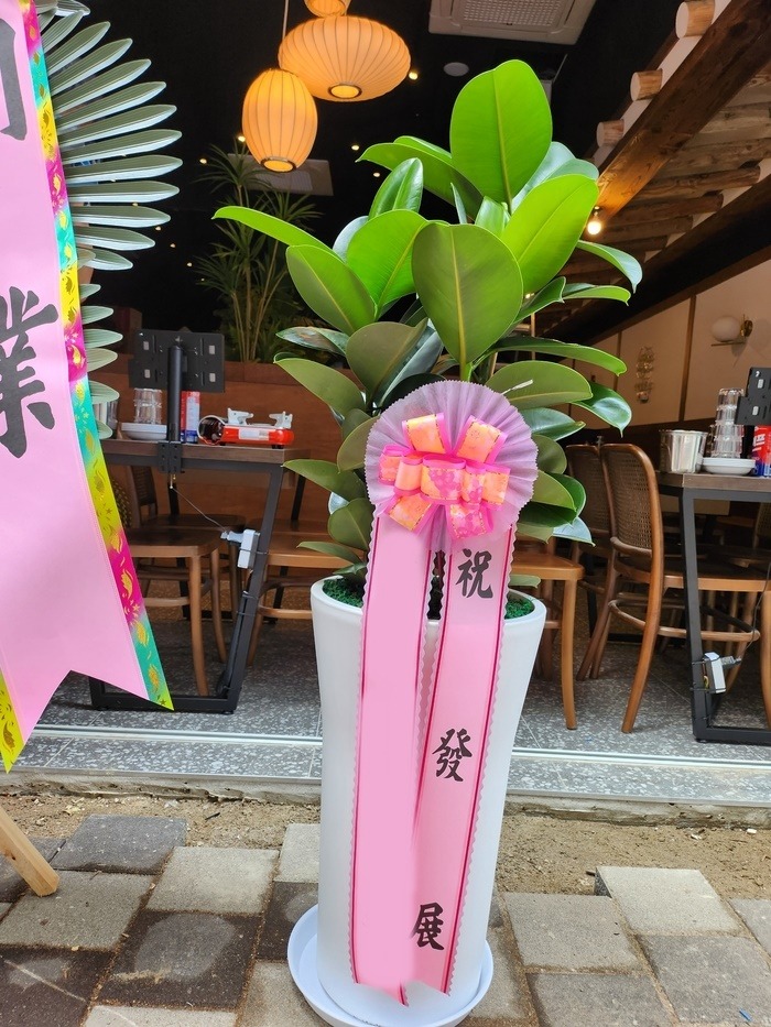 ����ȭ�� ��������