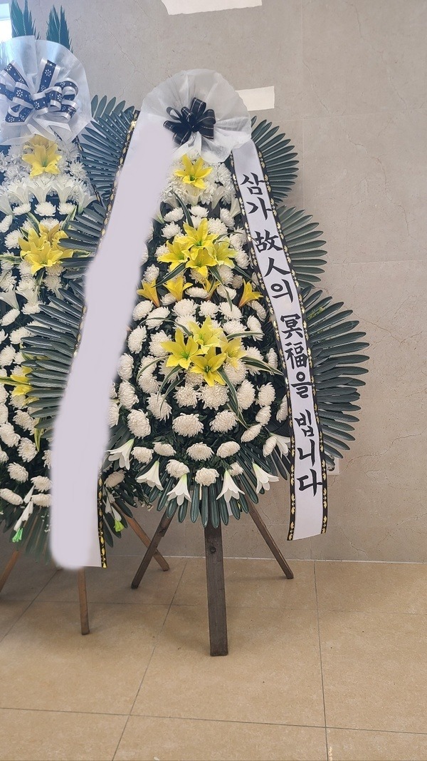 ����3��ȭȯ