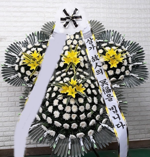 ����5��ȭȯ