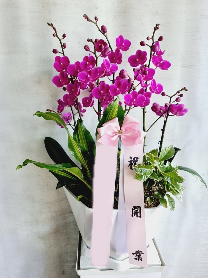 ����� ��õȫ