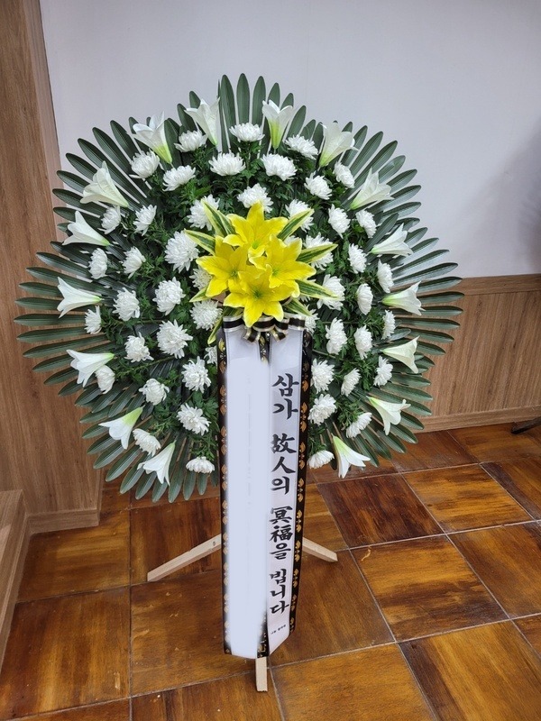 ����������ȭȯ