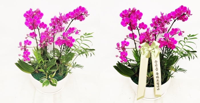 ����� ��õȫ