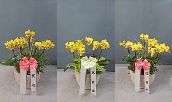 ����� [�ڿ��� ���ð�]